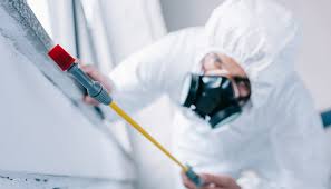 Best Termite Inspection and Treatment  in South Greeley, WY